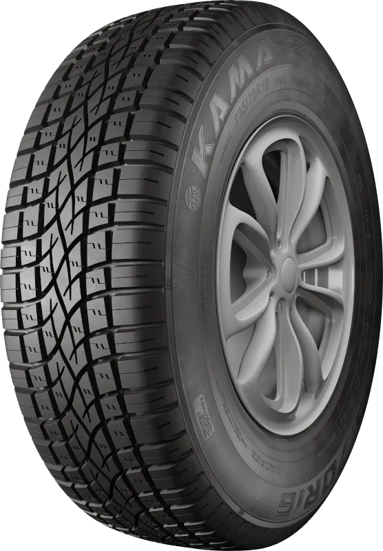 KAMA-221 в Шацке — KAMA TYRES KAMA-221 в Шацке